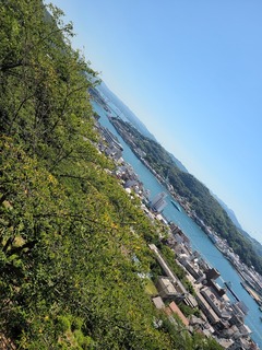 20200815_103621.jpg