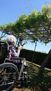 ぶろぐ1.jpg