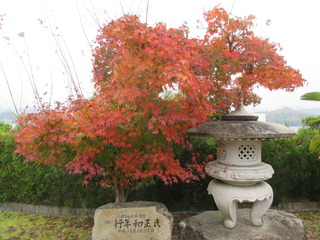 IMG_1123.JPG