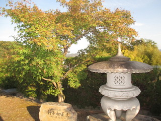 IMG_1205.JPG