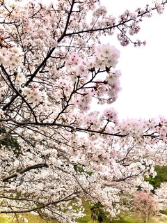 IMG_6087-19847.jpeg